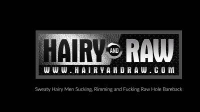 HAIRYANDRAW Hairy Gay Studs Fucking Hardcore In Compilation - nvdvid.com
